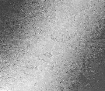 Pelerine – Level 5