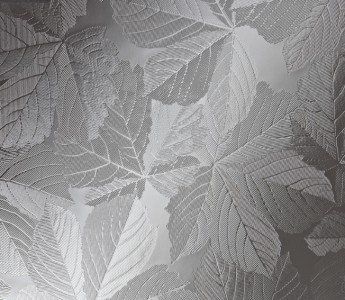 Sycamore – Level 2