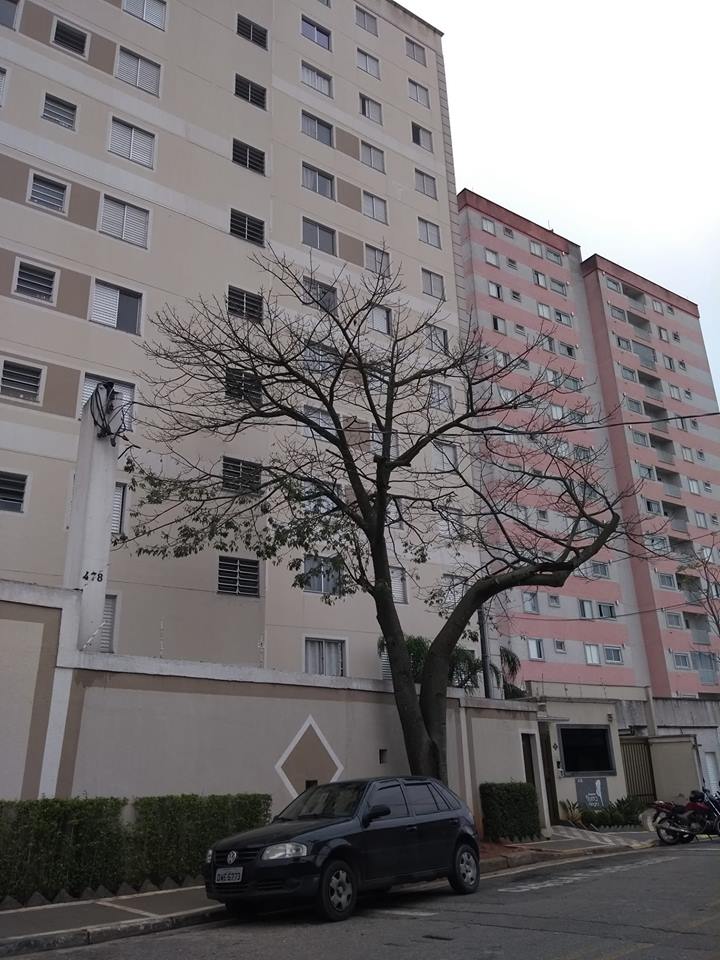 Assessoria condominial no Residencial Serra Negra