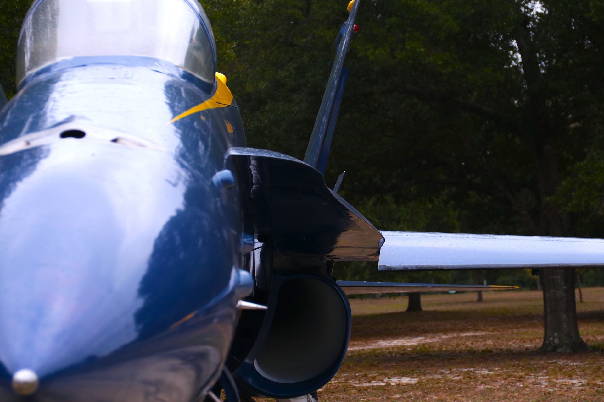 Blue and yellow US Navy Blue Angels fighter jet, parked outdoors.