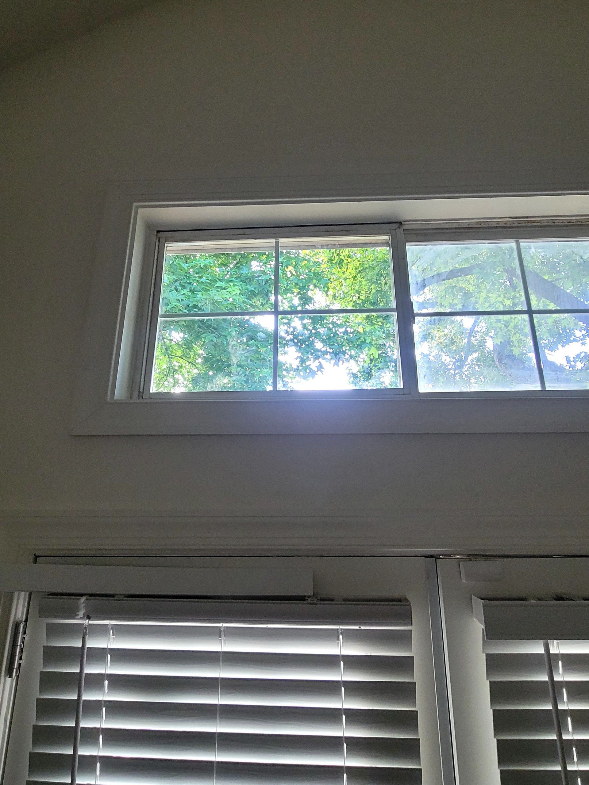 Window with view of trees; sunlight through panes. Blinds below.