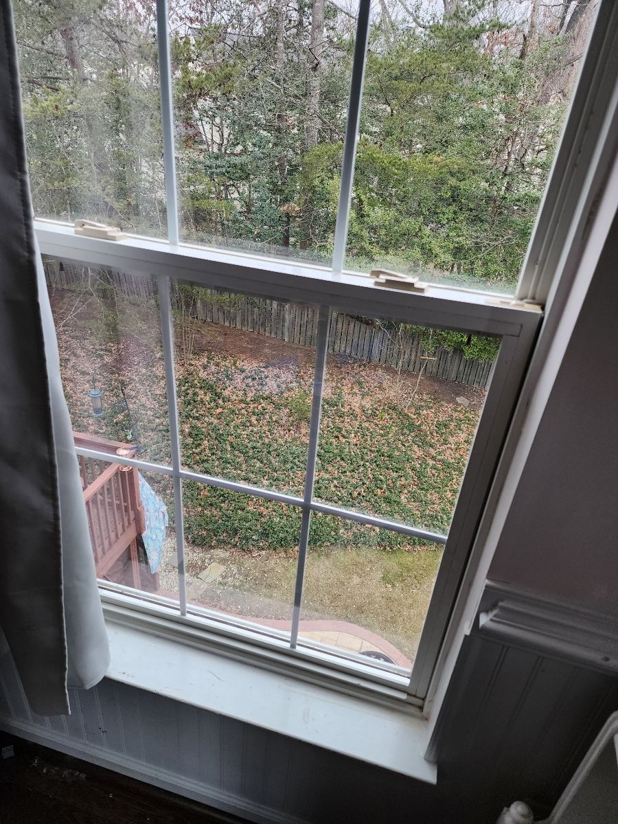 White-framed window looking out onto a backyard with green plants and trees.