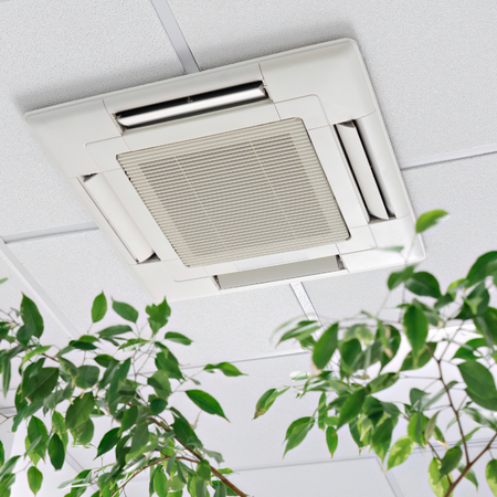 A ceiling mounted air conditioner with a plant in the foreground
