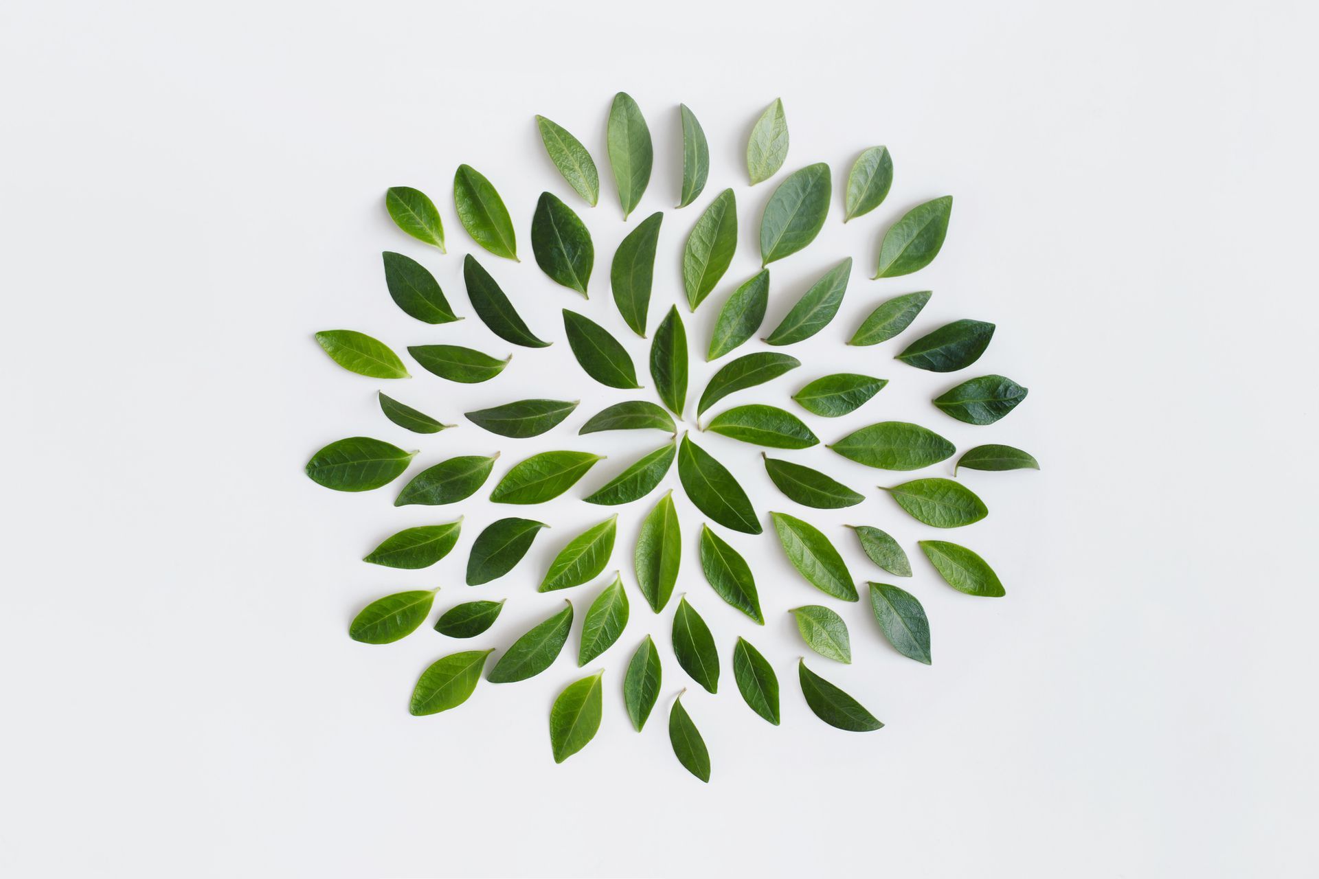 An elderly man and a nurse are looking at a laptop computer.