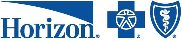 A blue horizon logo with a cross and shield