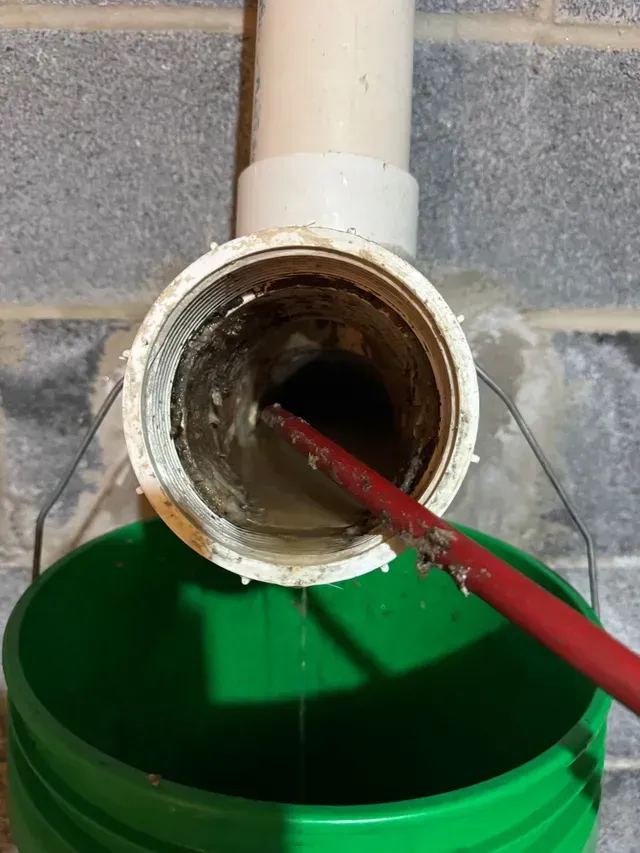 A clogged PVC drain pipe being cleared with a red drain snake, draining into a green bucket.