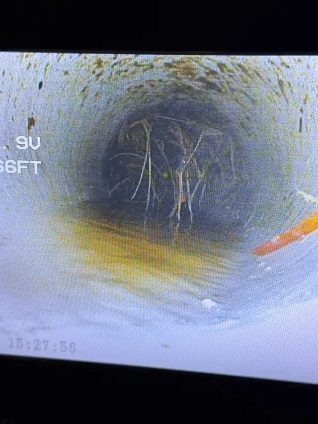 Sewer pipe interior, yellow water, debris and root intrusion, and distance marker reading 