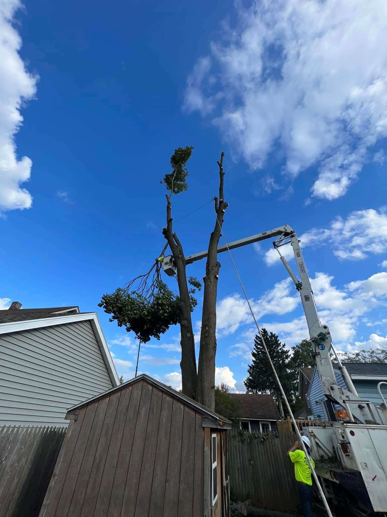 A tree being cut down by a crane in front of a house.