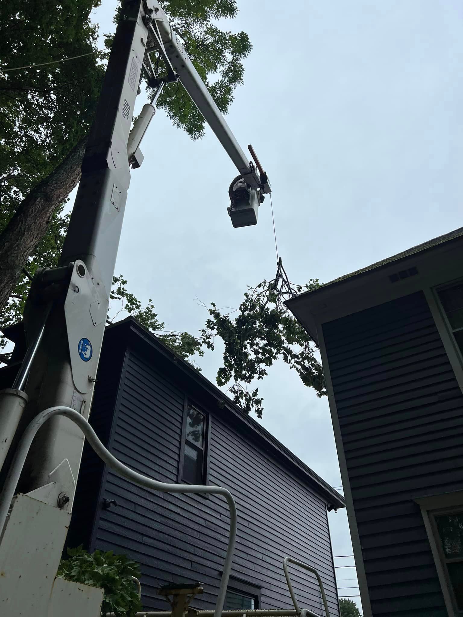 A crane is cutting a tree in front of a house.