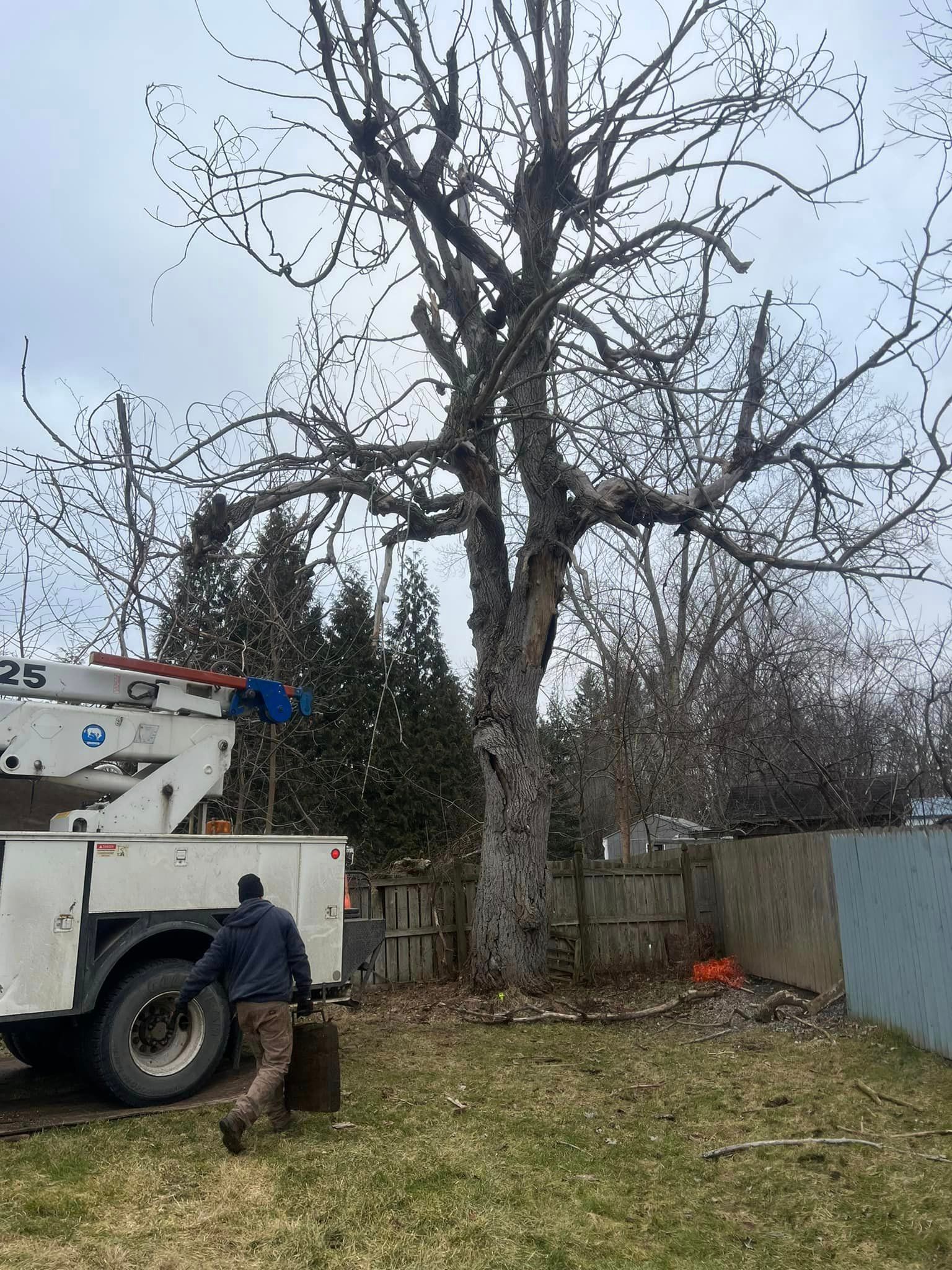 A man is standing next to a tree cutting truck in a backyard.