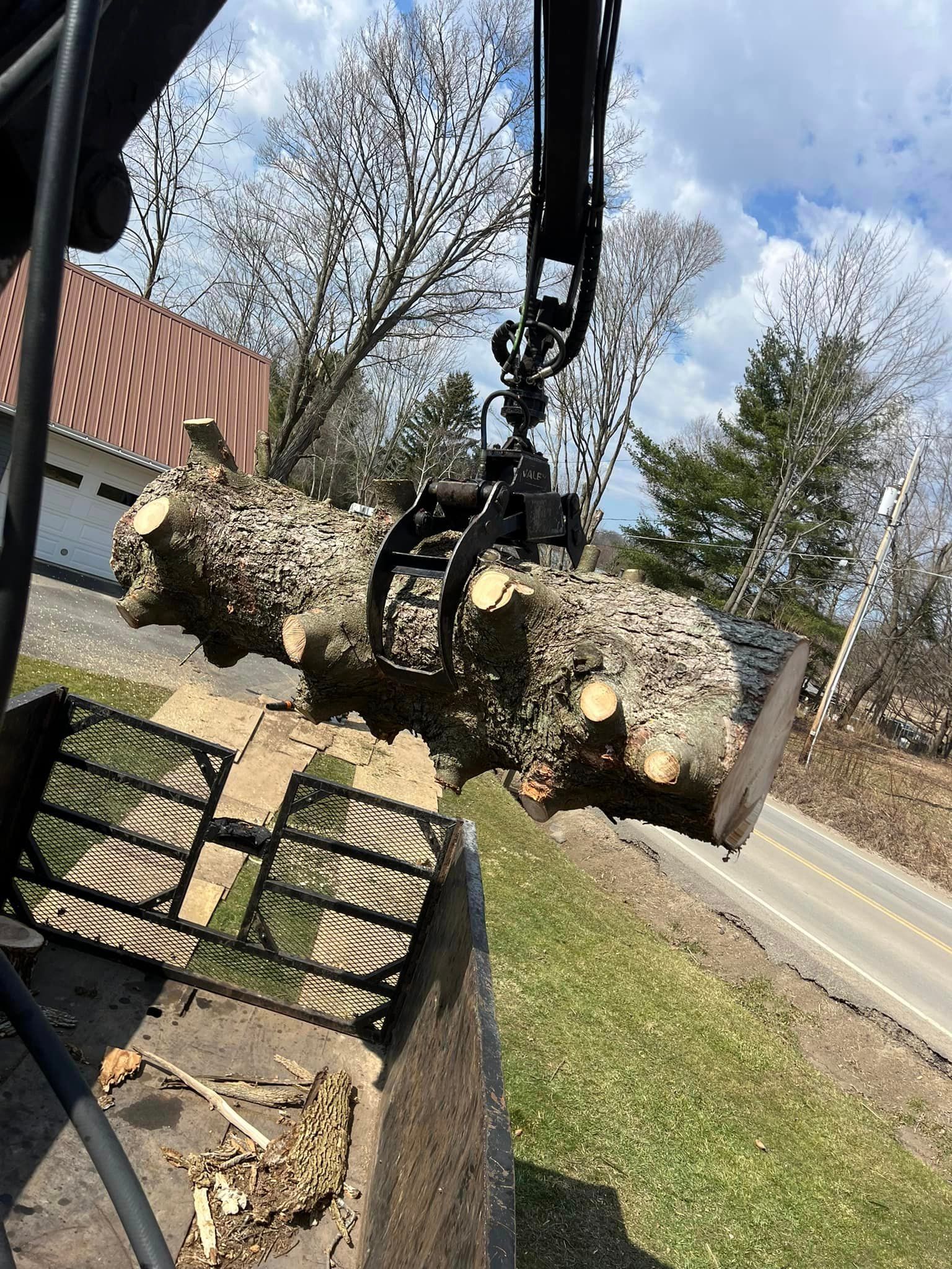 A large log is being lifted by a crane.