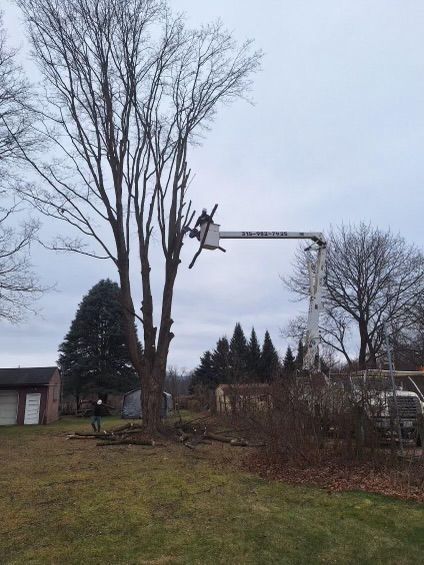 A tree is being cut down by a crane in a yard.