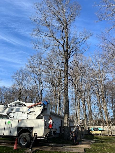 A white utility truck is parked in front of a tree.