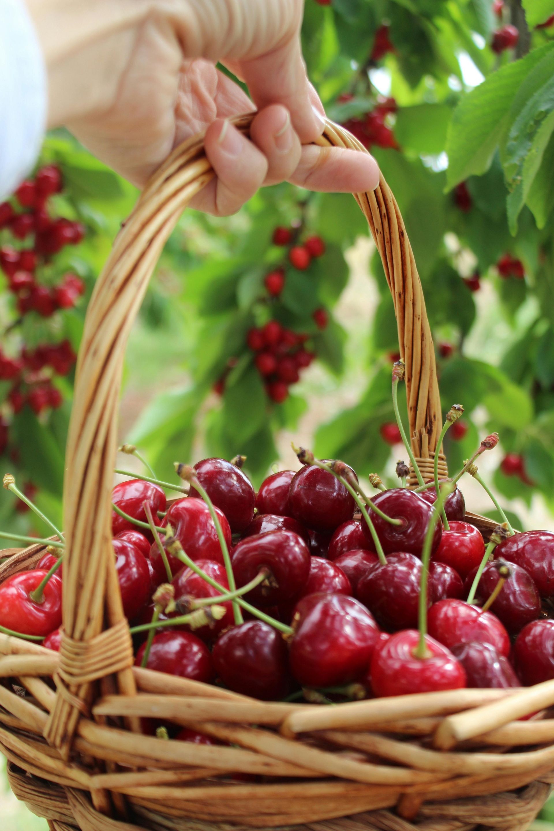 Une fraise éclabousse une flaque d'eau