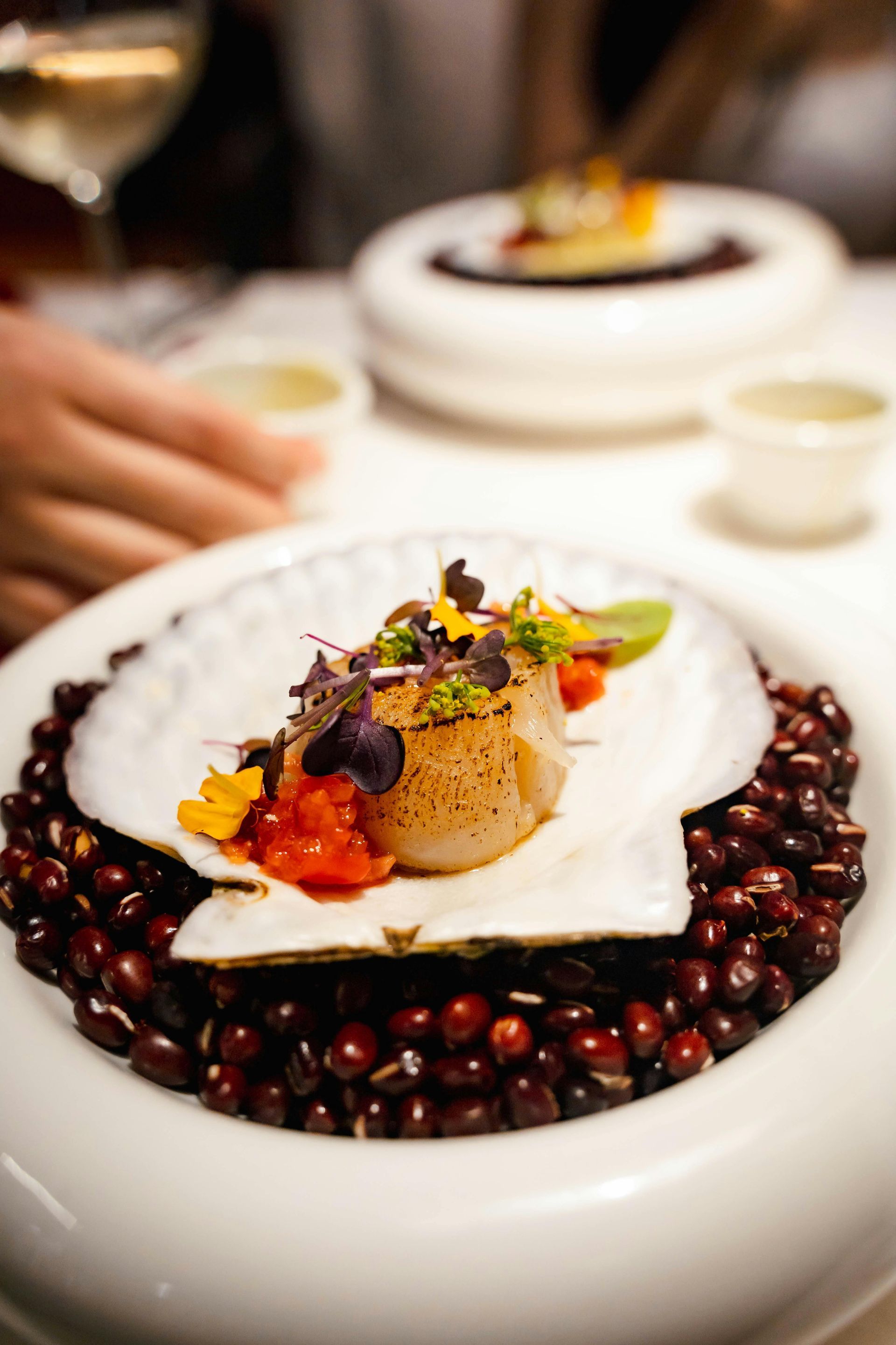 Six oies blanches se tiennent près d'une clôture en bois, le regard tourné vers un pâturage verdoyant baigné de lumière diurne.