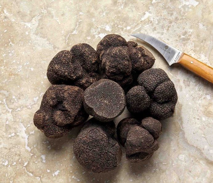 Truffes de la Maison Plantin