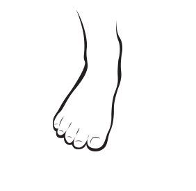 foot_Skin and Toe Nails