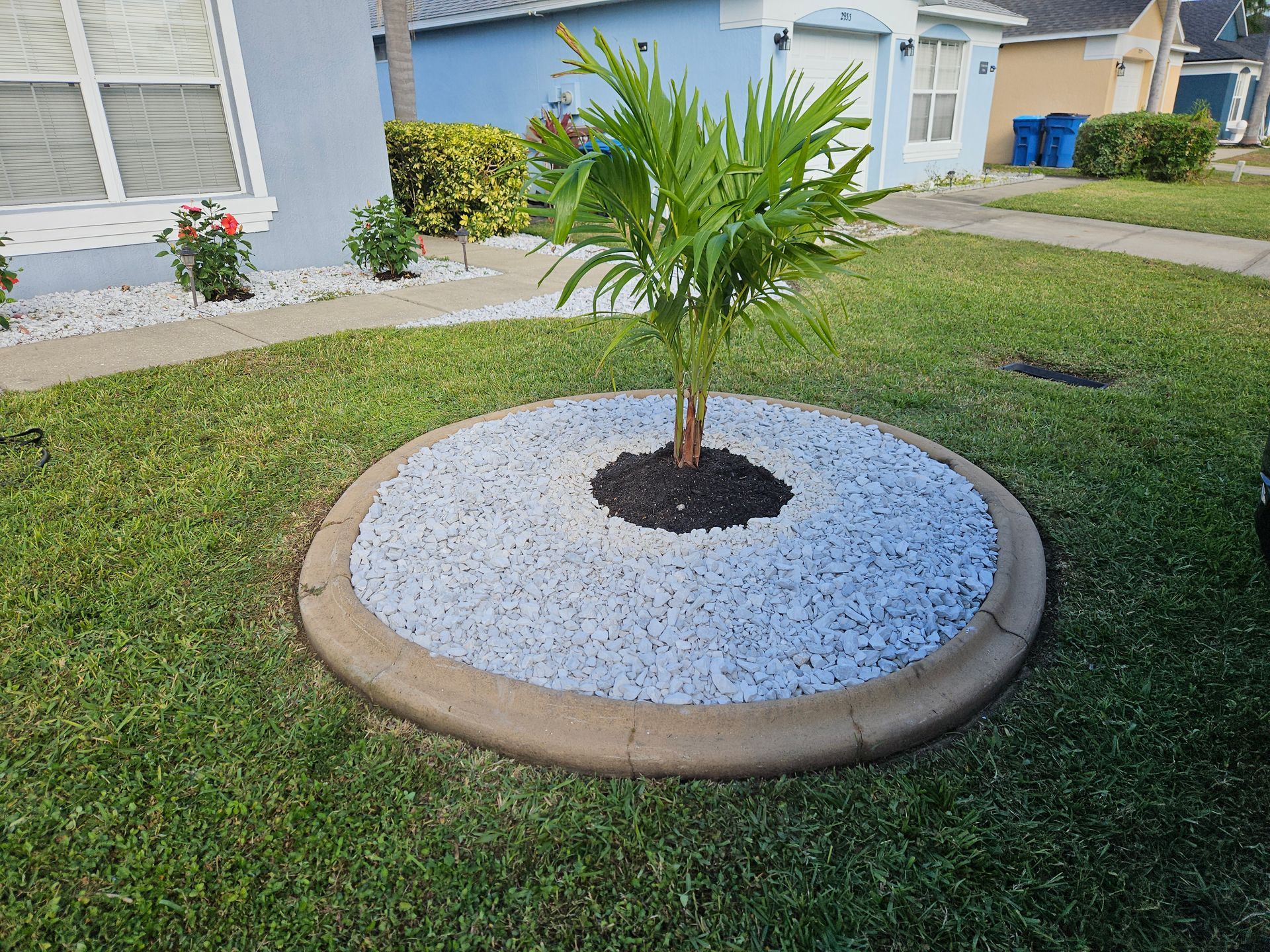 A tree in the middle of a lush green lawn next to a sidewalk.