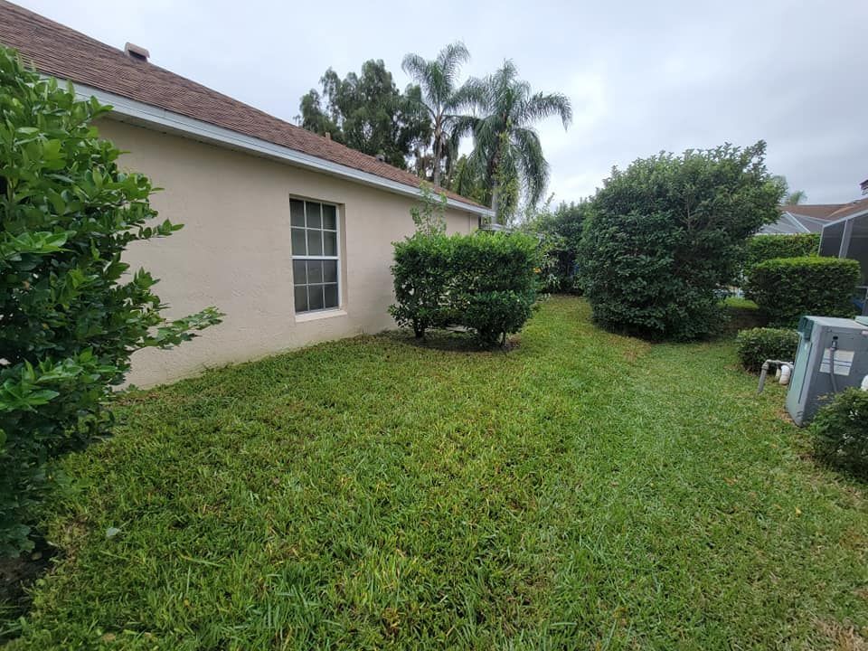 A house with a lot of grass and bushes in front of it.