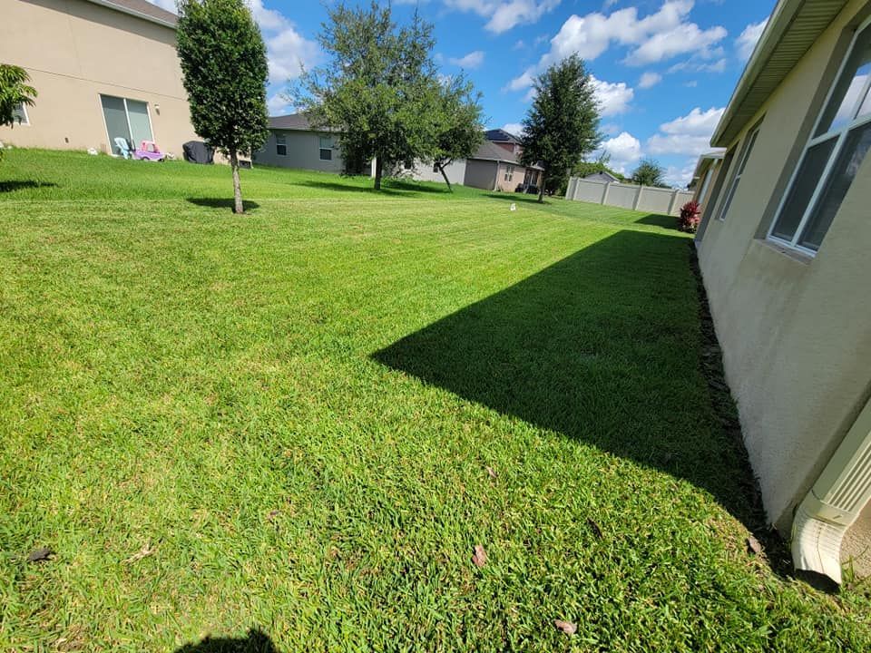 A lush green lawn with a house in the background.
