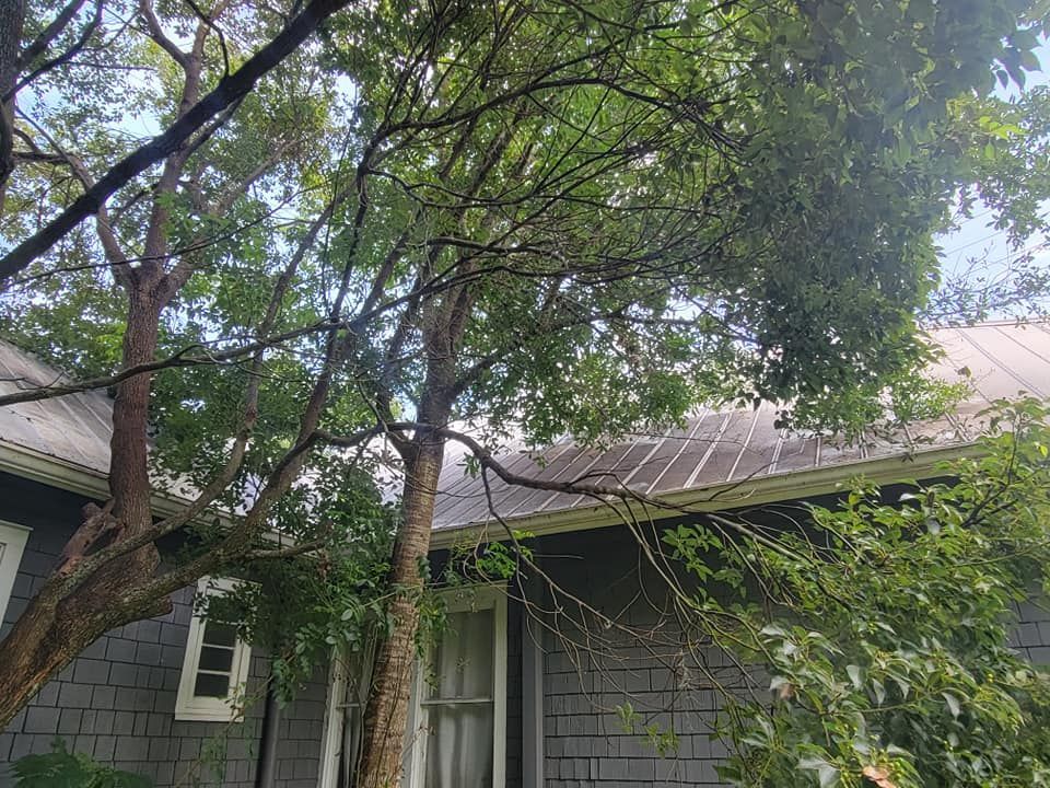 A house with a tree in front of it and a roof.