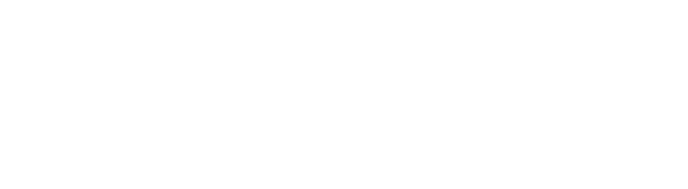 Protostar Leadership Development UK logo
