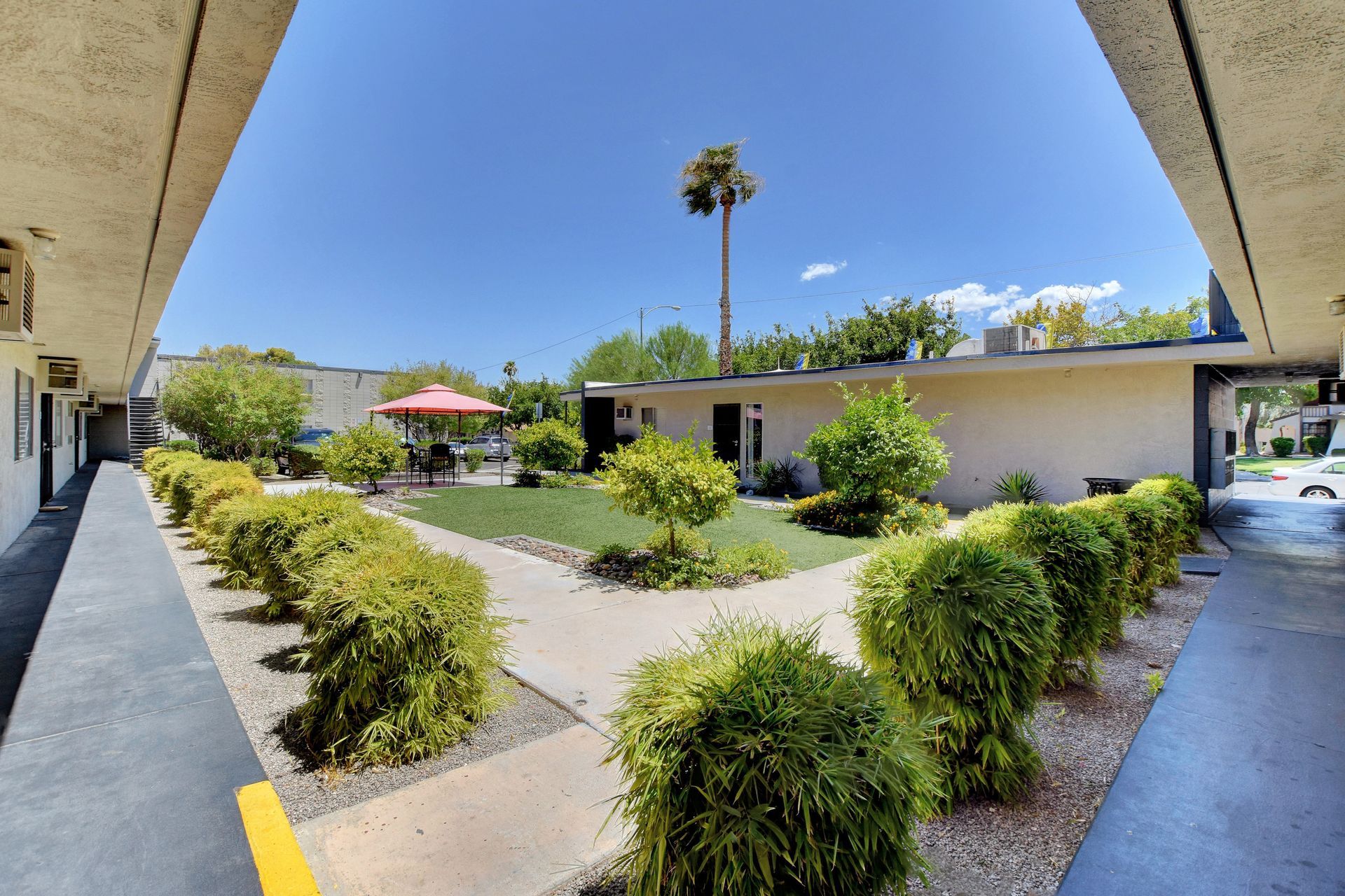 Courtyard walkway with hedges and a clear blue sky, viewed between two building overhangs