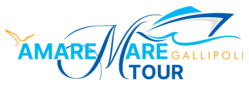 AmareMare Tour-LOGO