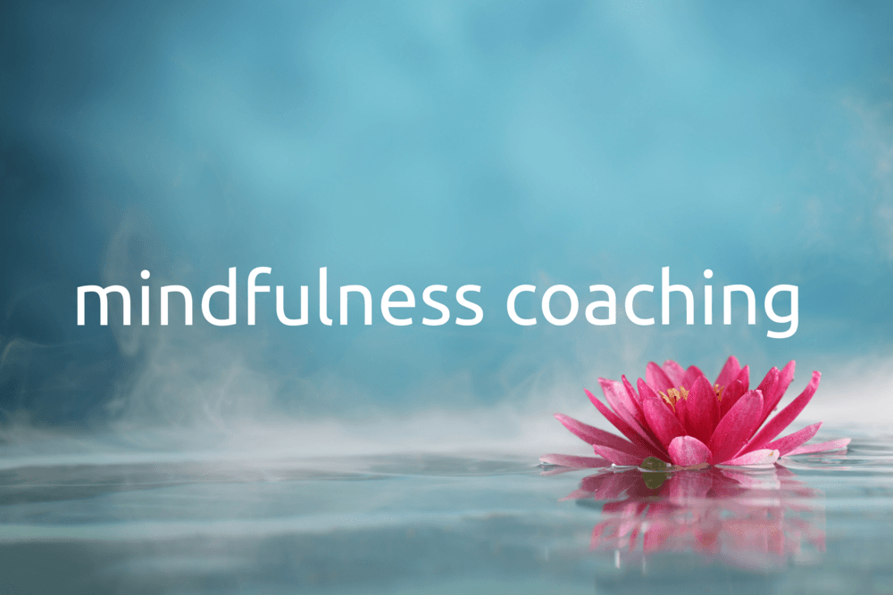 Mindfulness & Mindset Coaching Services in Newtown