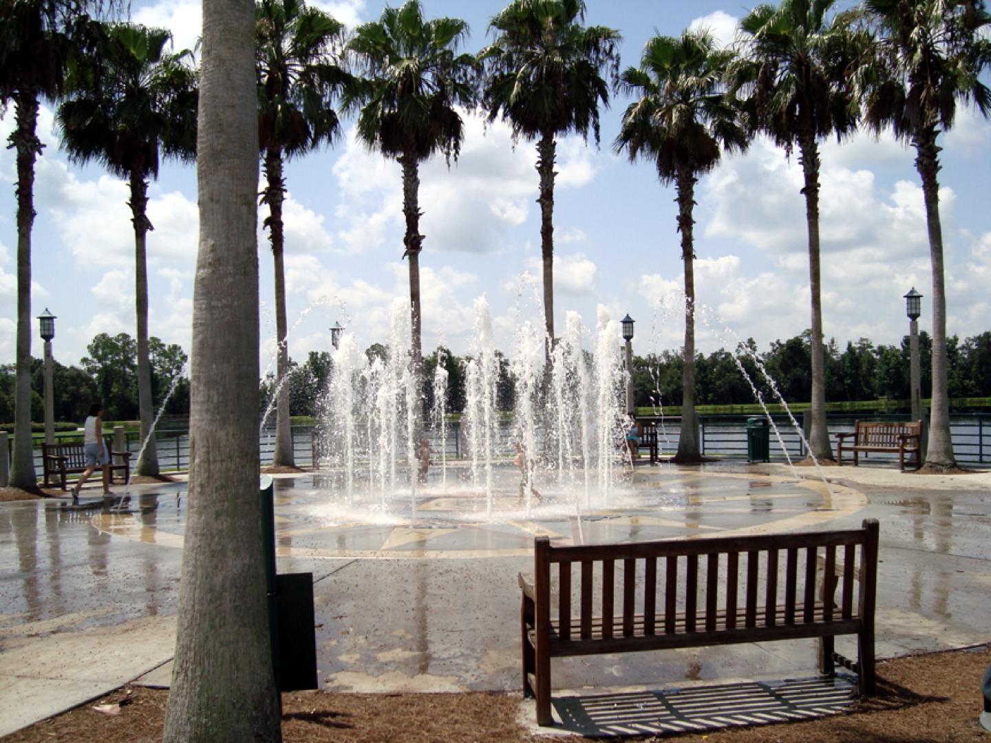 a bench in front of a fountain with palm trees in the background