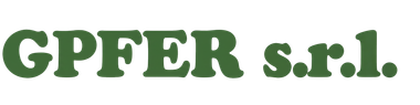 logo gpfer
