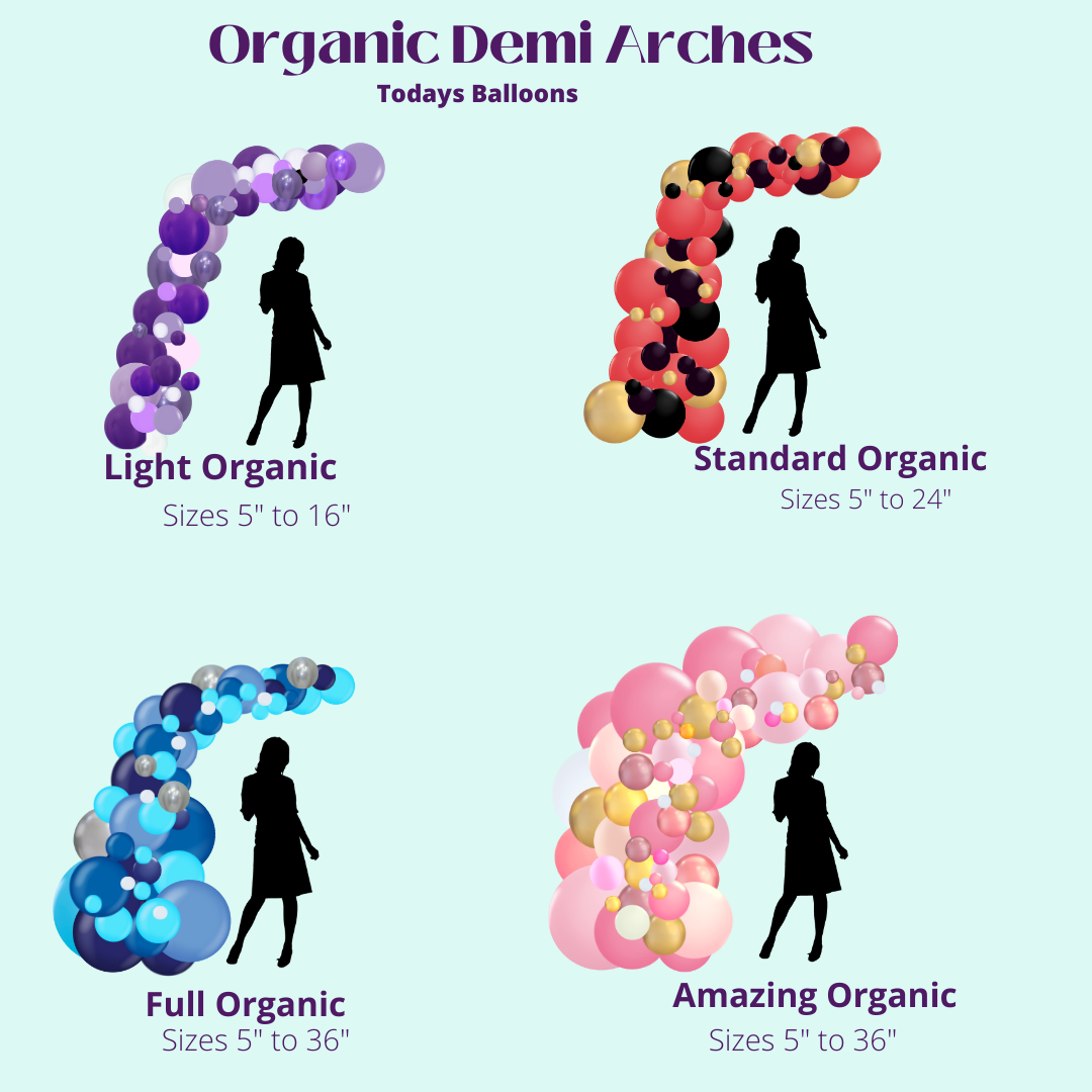There are four different types of organic demi arches.