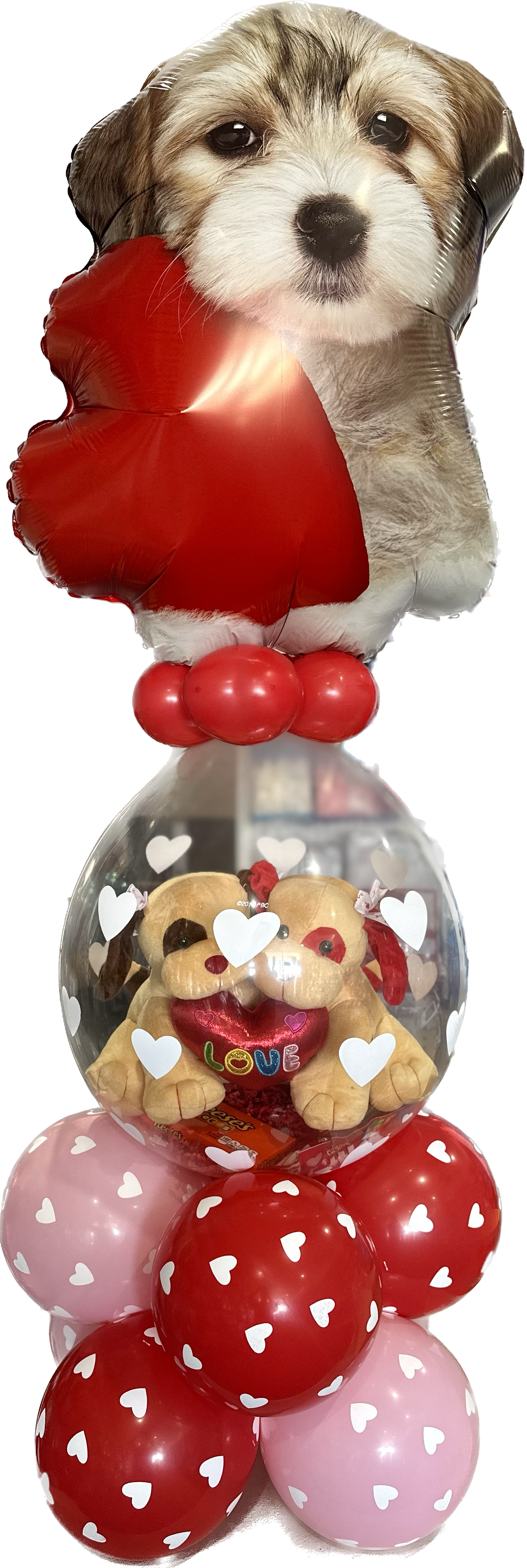 A puppy is holding a heart in a balloon surrounded by balloons.