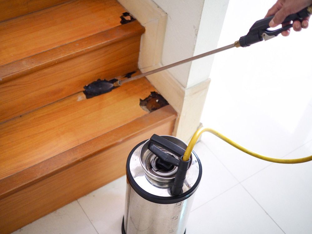 A Person Is Spraying A Mouse On A Wooden Staircase With A Sprayer — Salt Building & Pest Inspections in Bonogin, QLD