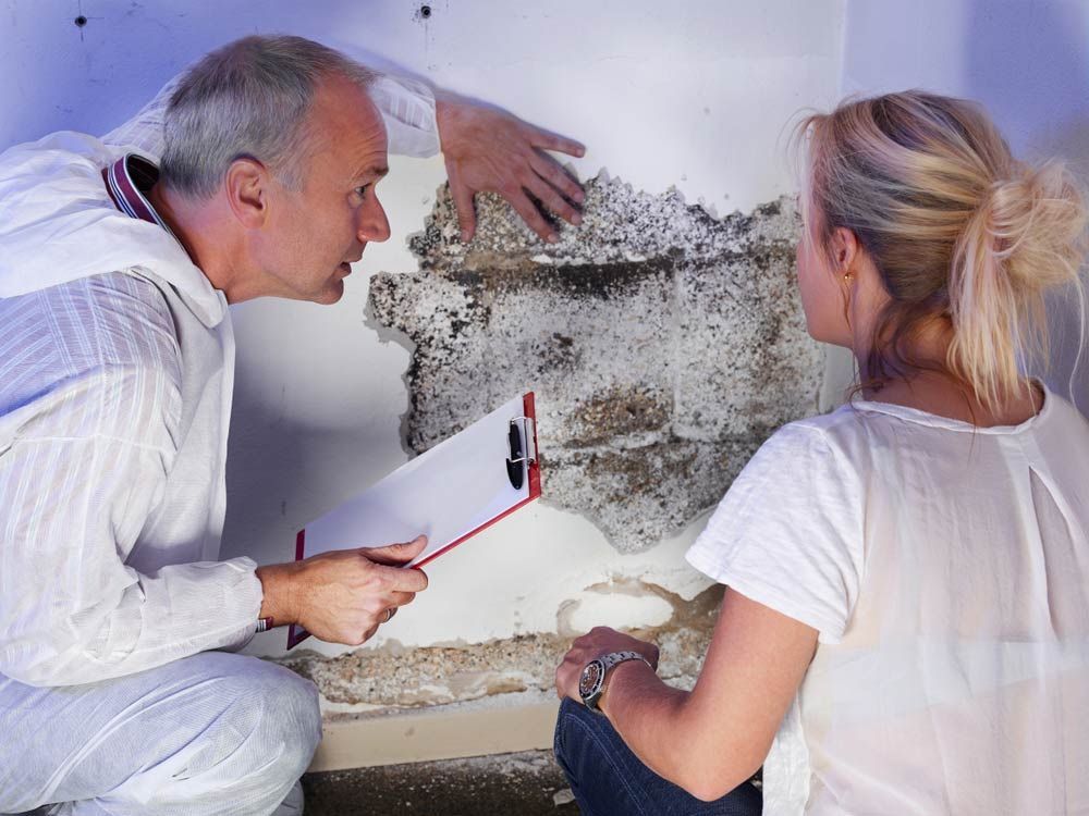 A Man And A Woman Are Looking At A Mouldy Wall — Salt Building & Pest Inspections in Palm Beach, QLD