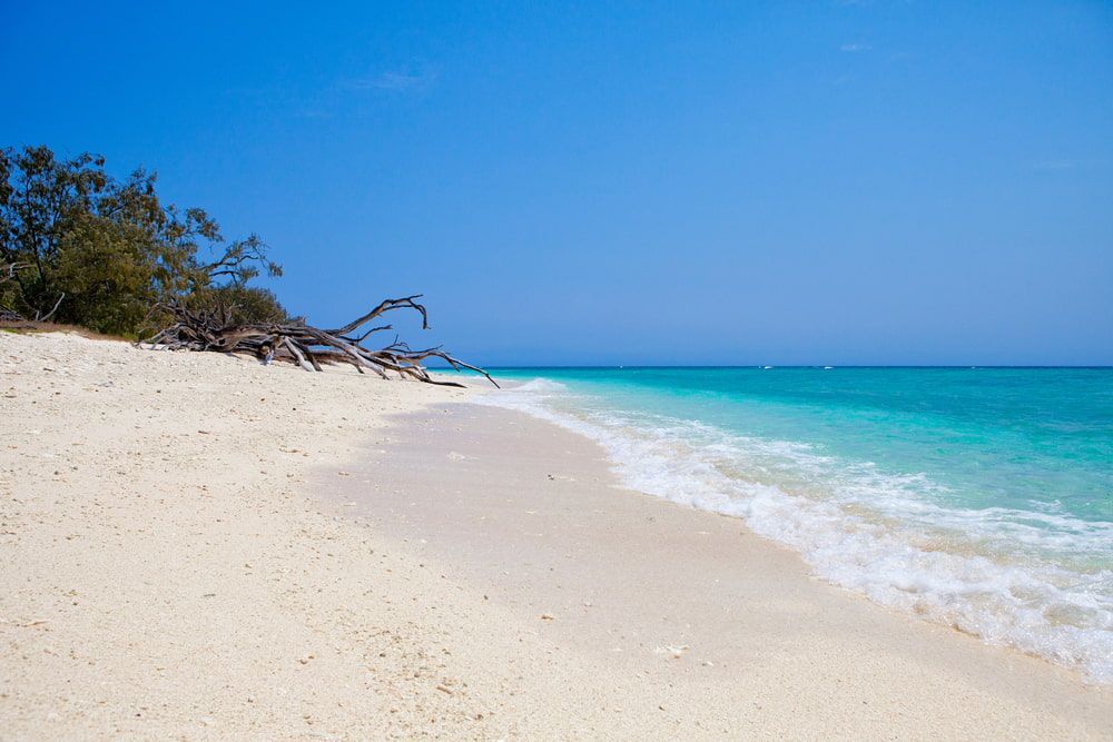 A Beach With White Sand And Turquoise Water On A Sunny Day — Salt Building & Pest Inspections in Clear Island Waters, QLD