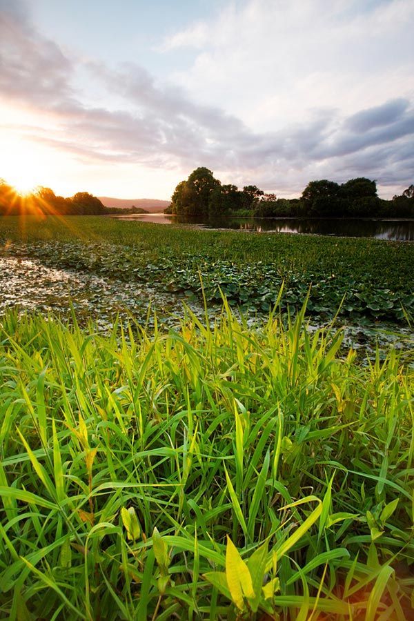 The Sun Is Setting Over A Grassy Field With A Lake In The Background — Salt Building & Pest Inspections in Mudgeeraba, QLD