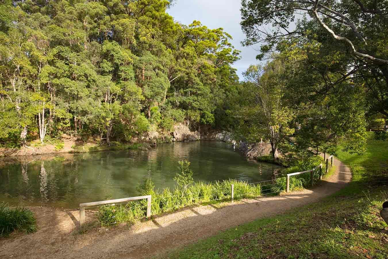 A Dirt Path Leading To A Lake Surrounded By Trees — Salt Building & Pest Inspections in Tallebudgera Valley, QLD