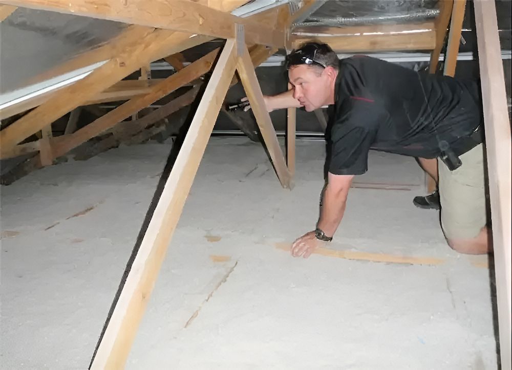 A Man In A Black Shirt Is Kneeling Down In An Attic — Salt Building & Pest Inspections in Currumbin Valley, QLD