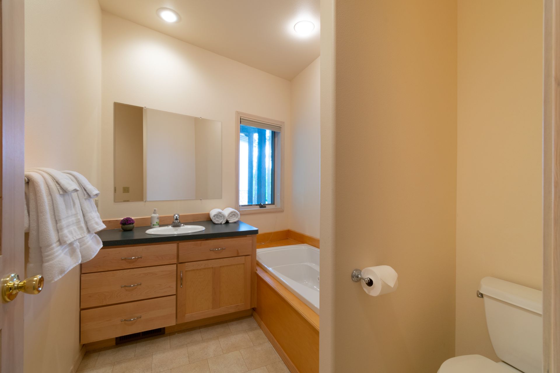 Bathroom with light-colored walls and wooden vanity; towels hang on a door, and a bathtub is visible.
