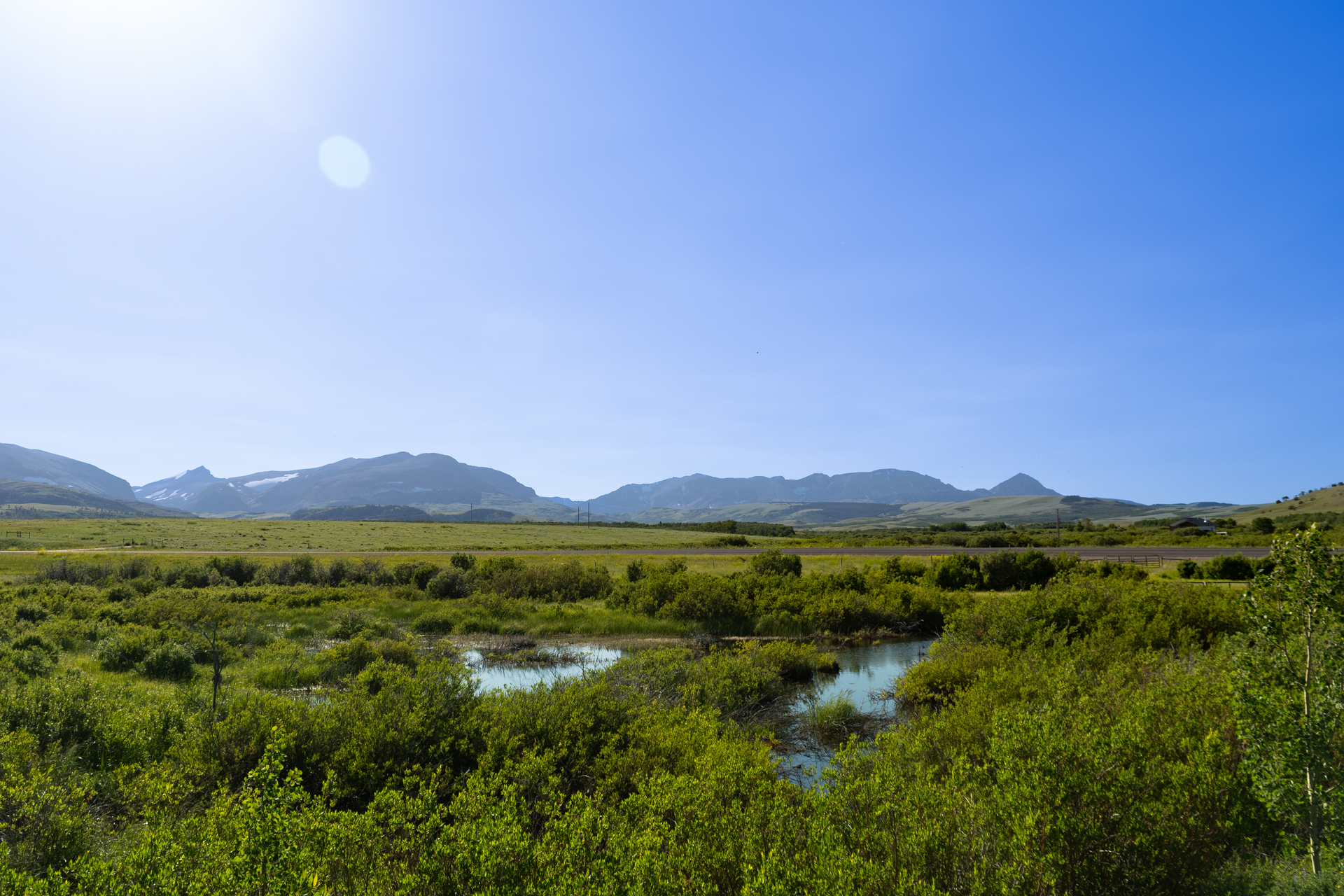 A sunny landscape with a pond in the foreground, lush green vegetation, and mountains under a clear blue sky.