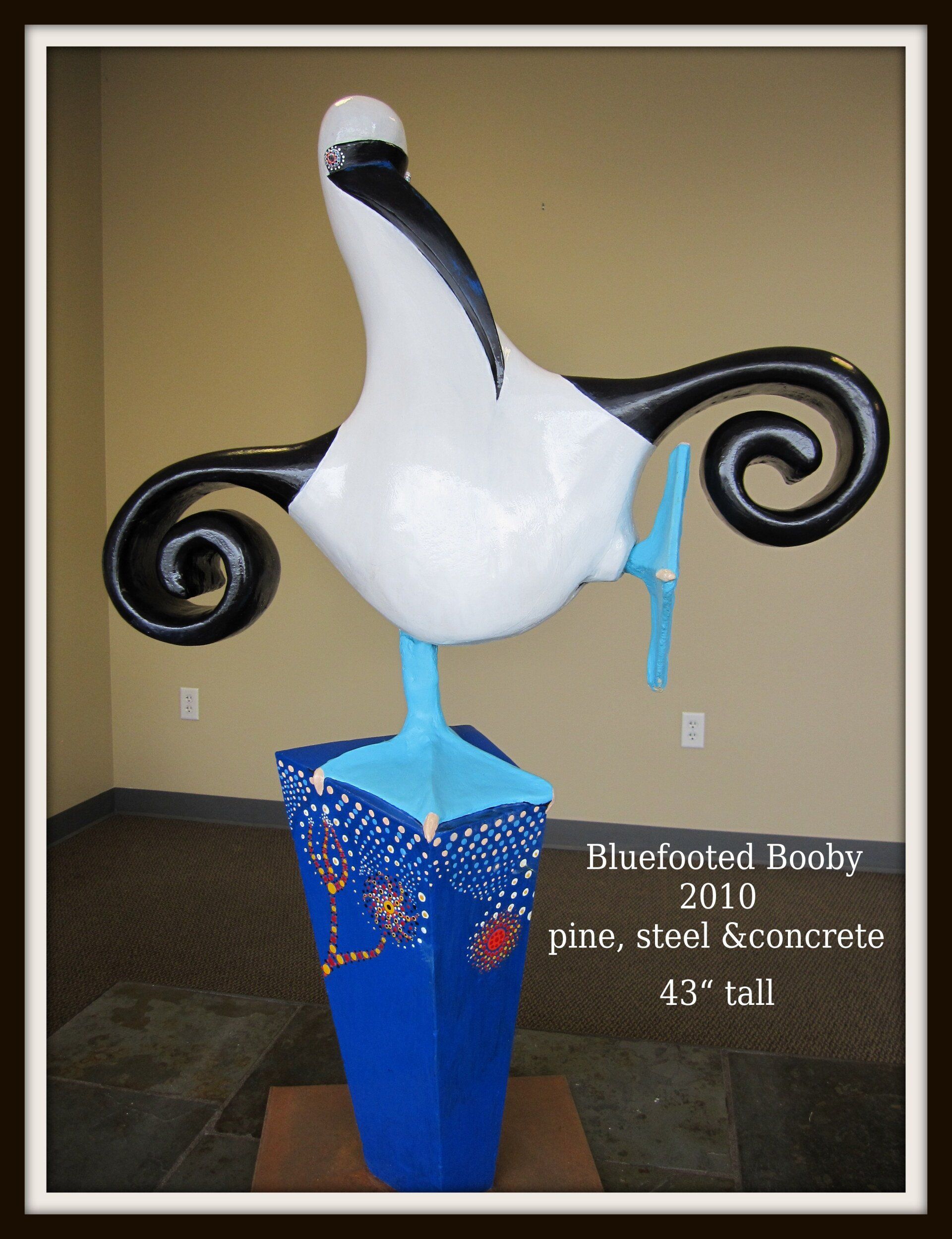 Blue-Footed Booby | Sacramento, CA | Neubite Denture Center