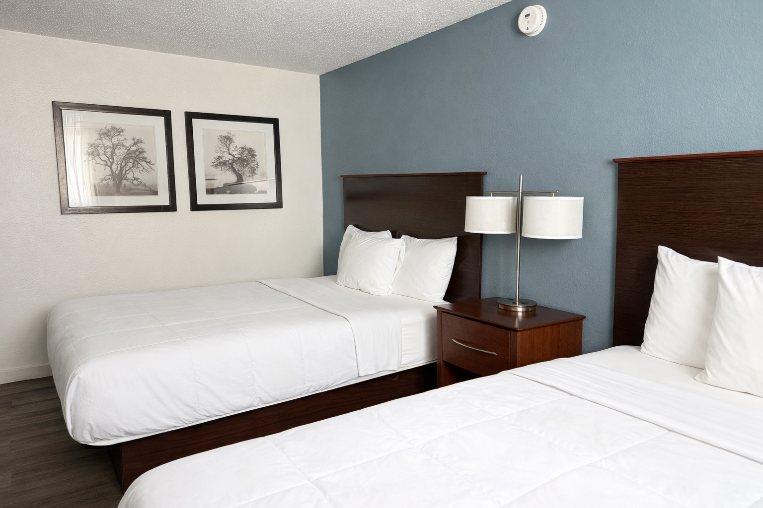 Trees with vibrant orange leaves in a forest, autumn colors.