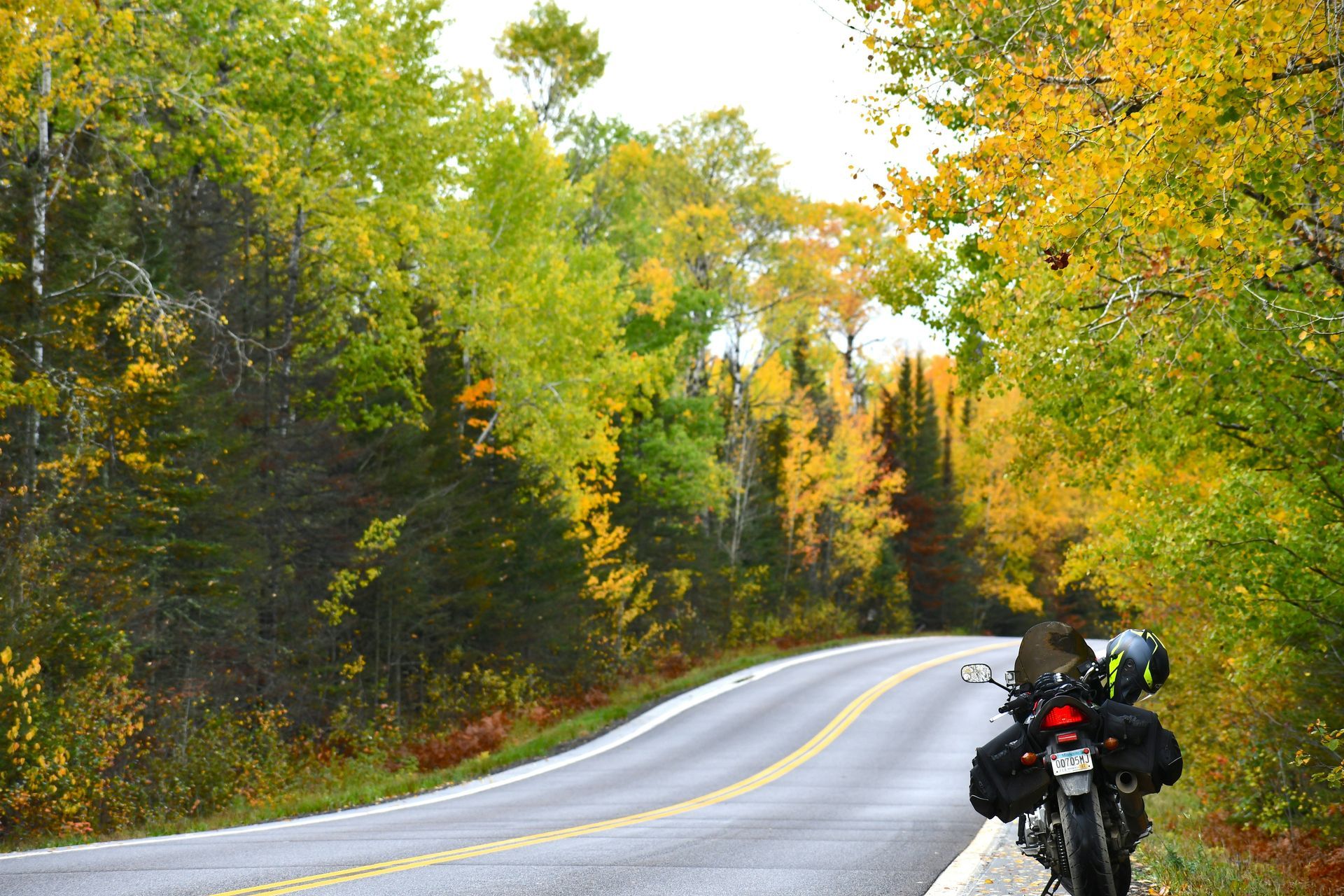 Motorcycle parked on a road lined with trees in autumn foliage of yellow, green, and orange.