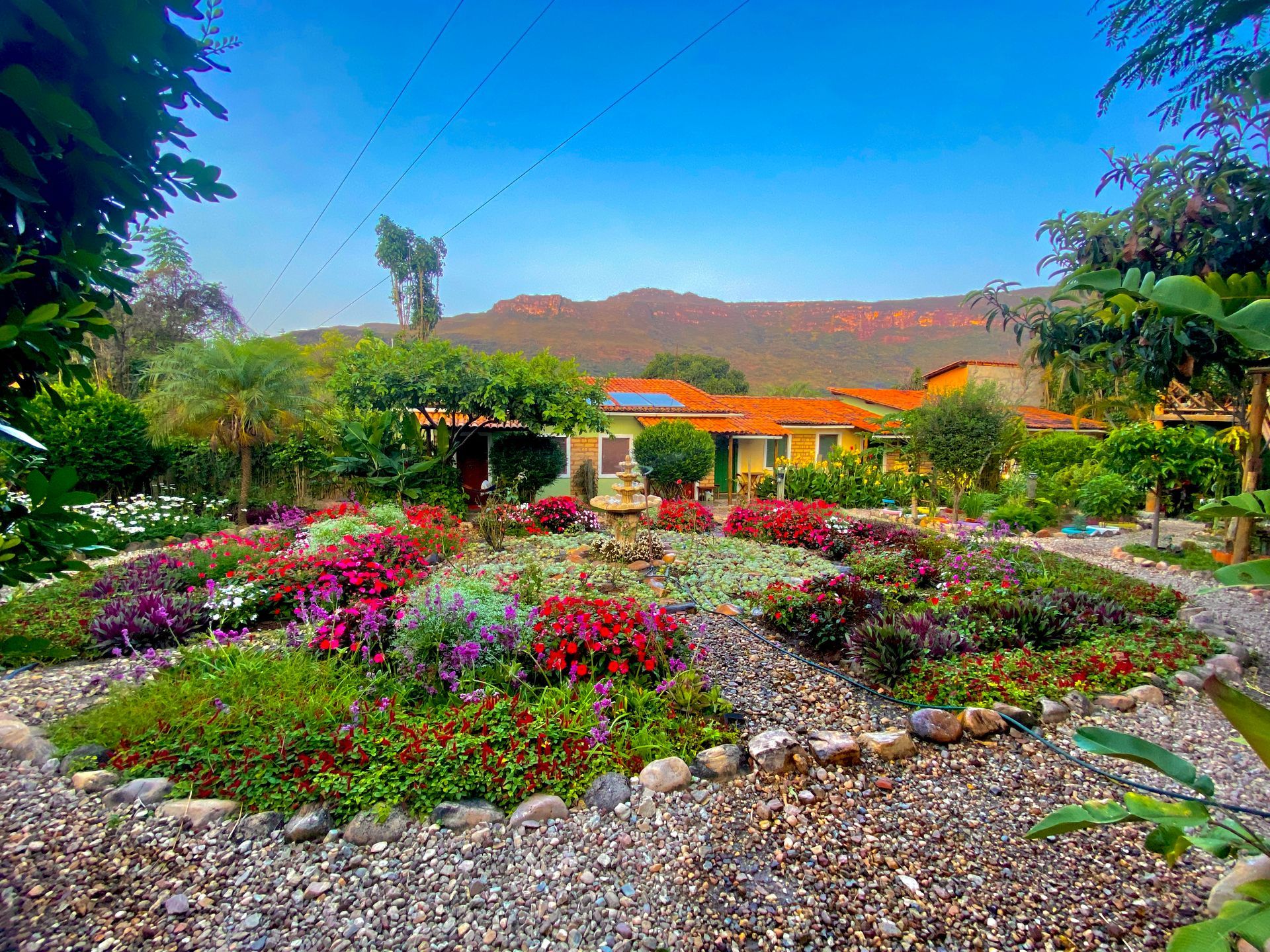 Um jardim com flores e pedras em frente a uma casa com montanhas ao fundo.