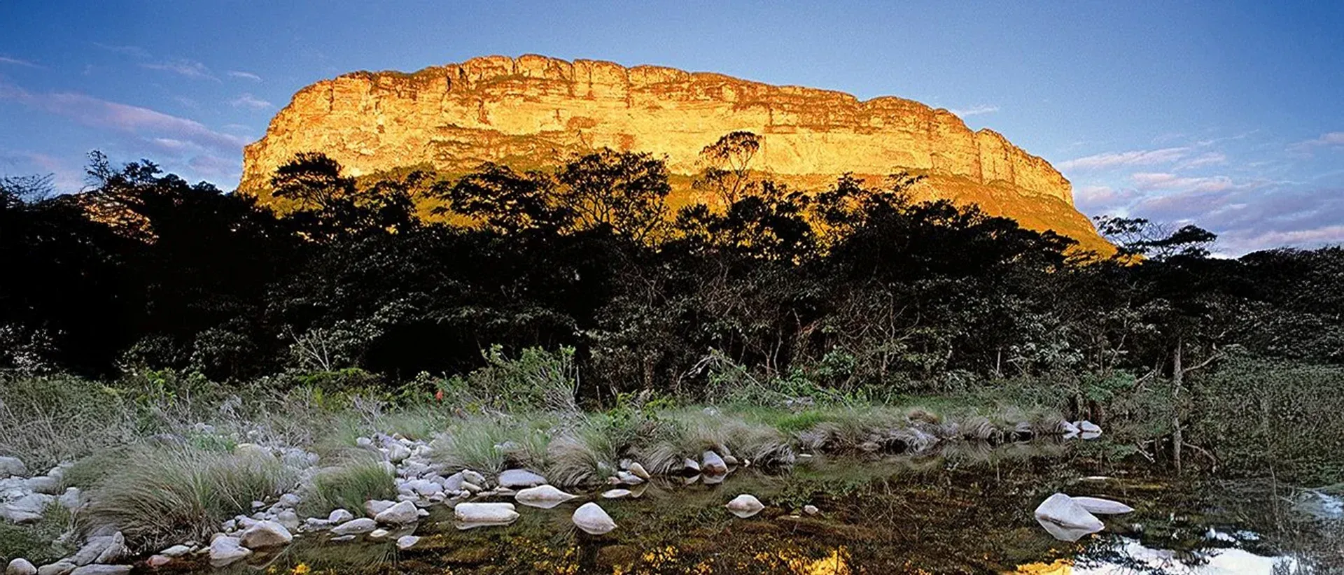 Uma grande rocha no meio de um campo com árvores ao fundo