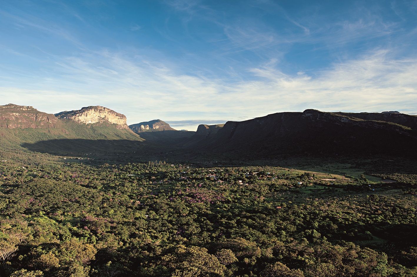 Uma vista aérea de uma floresta verdejante com montanhas ao fundo