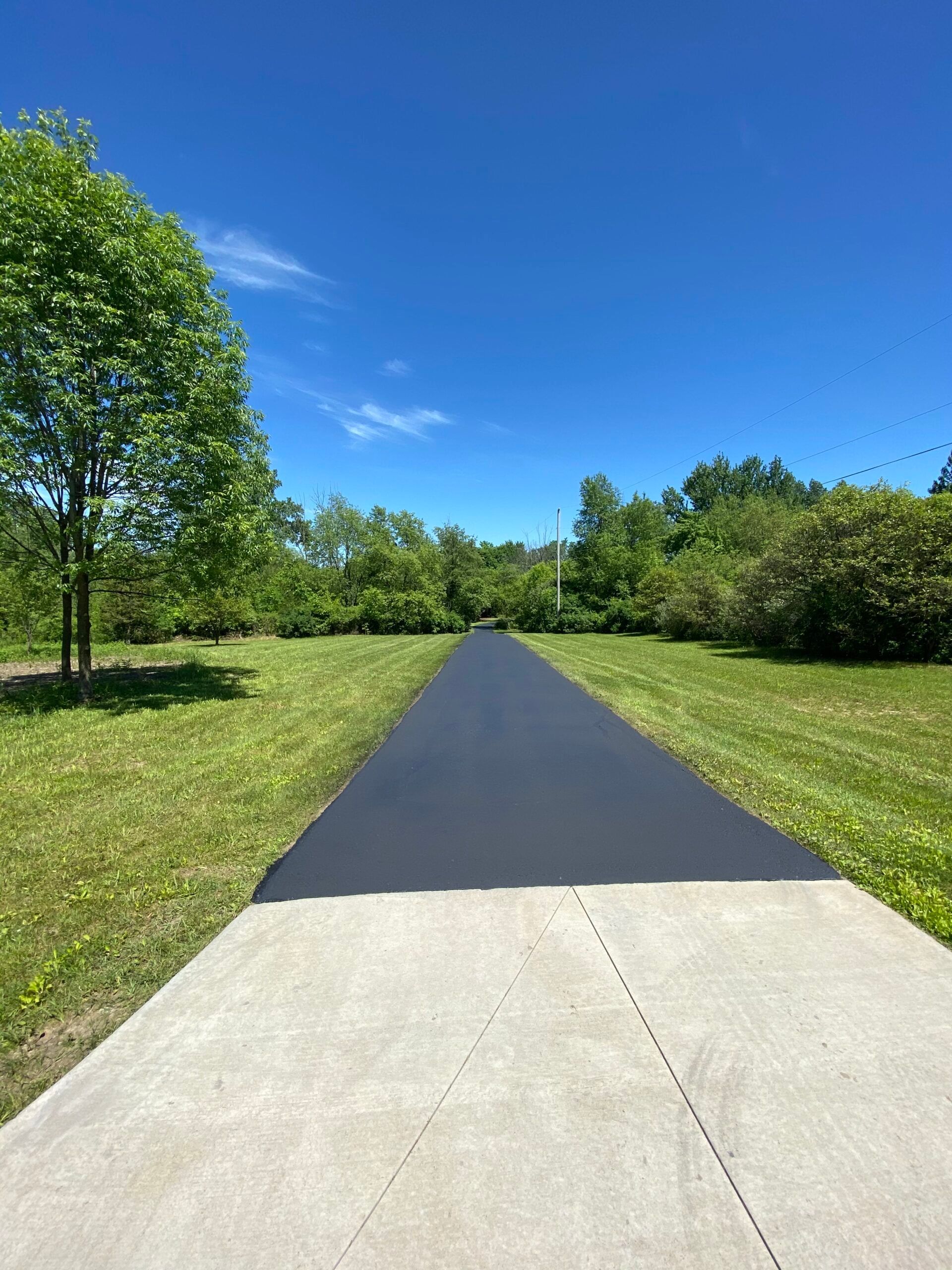 A concrete driveway leading to a grassy field with trees on both sides.