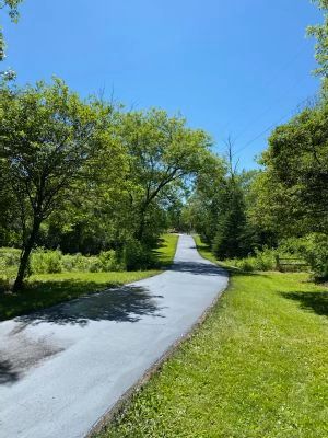 A road going through a lush green forest on a sunny day.