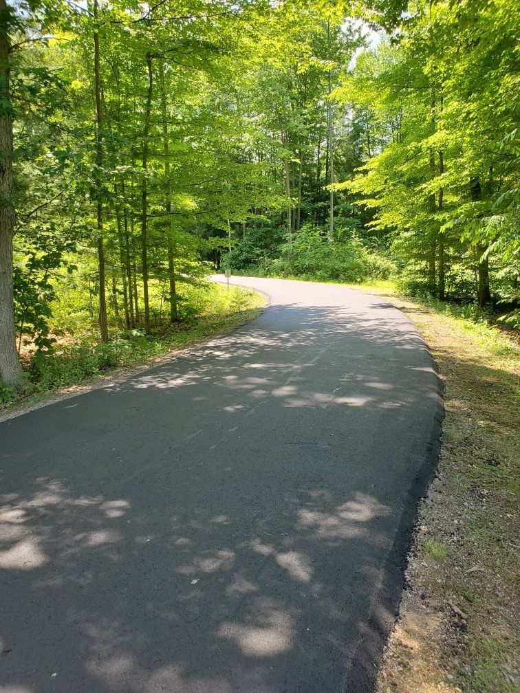 A road going through a forest with trees on both sides.